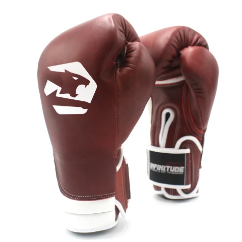 Titan Fury Boxing Gloves