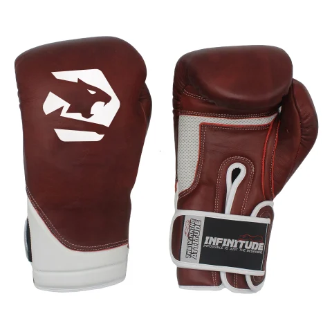 Titan Fury Pro Boxing Gloves