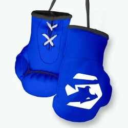 blue mini boxing gloves