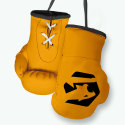 gold mini boxing gloves