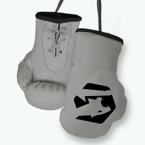 gray mini boxing gloves