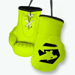 lime mini boxing gloves