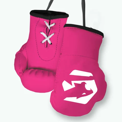 pink mini boxing gloves