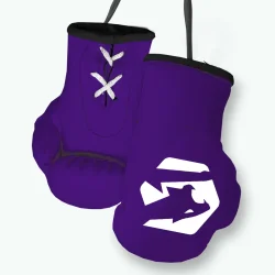 purple mini boxing gloves