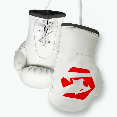 white mini boxing gloves