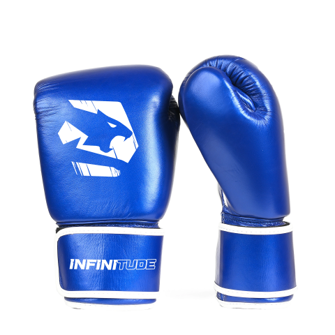 Agile X Blue Muay Thai Gloves