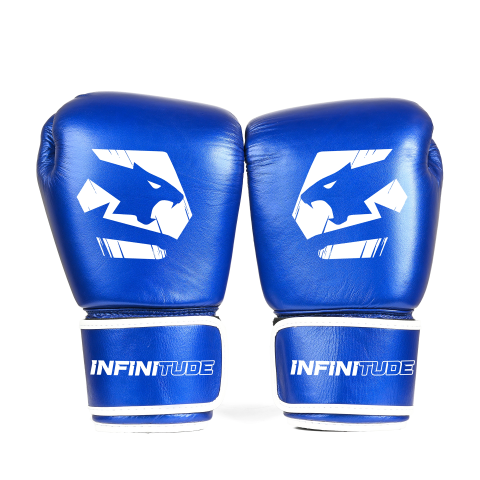 Agile X Pro Blue Muay Thai Gloves