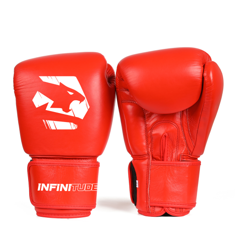 Red Muay Thai Gloves